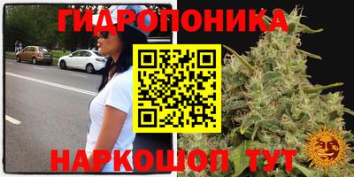 мдпв Ипатово