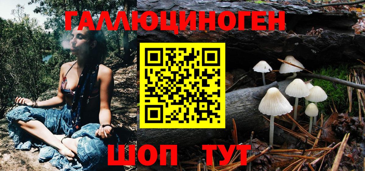 Галлюциногенные грибы прущие грибы  Вход с VPN  Луга 